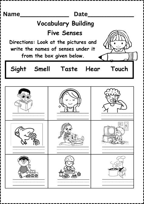 The Five Senses Worksheet Five Senses Of Summer Worksheets