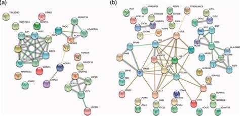 Image result for STRING Protein Interactions