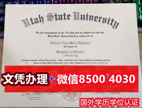 新西兰国际太平洋学院毕业证成绩单买 | PPT