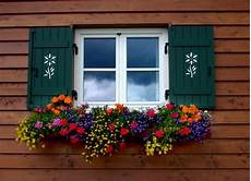 fioriere per davanzale finestra finestra fiorita windows fioriere finestra balconi e fioriere per davanzale finestra finestra fiorita windows fioriere finestra balconi e