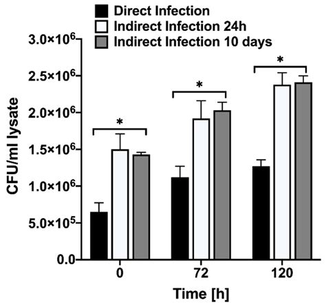 Macrophage Proteome Analysis at Different Stages of Mycobacterium avium ...