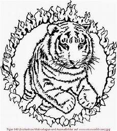 malvorlagen kostenlos tiger tiger 040 kostenlose malvorlagen und ausmalbilder auf www malvorlagen kostenlos tiger tiger 040 kostenlose malvorlagen und ausmalbilder auf www