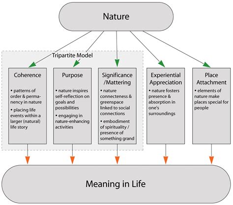 The Beyond-Human Natural World: Providing Meaning and Making Meaning