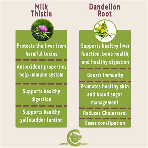 Benefits Of Milk Thistle And Dandelion Root
