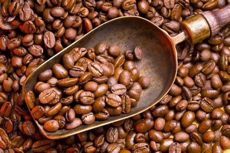 巴西咖啡豆进口关税/税率是多少价格表/厂家报价_万享国际物流公司