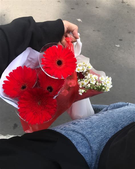 mini faceless daily vlog (@facelessdaily_) • Instagram photos and videos