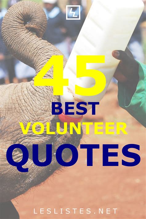 Volunteer Recognition Quotes