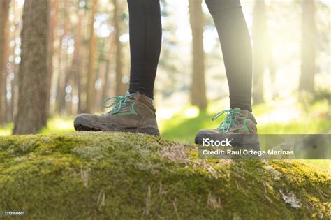 Walk-In Nature 的图像结果