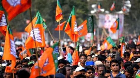 Bihar Election Result: Who are BJP's dozen who lost despite party's 88% ...