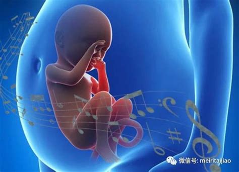 怀孕1-42周3D胎儿超声图全记录---彩图 - 知乎