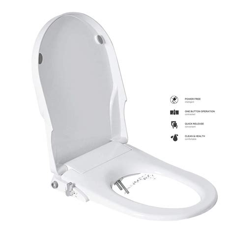 Buy Toilet Seats Bidet with Non Electric Self Cleaning Dual Nozzles ...
