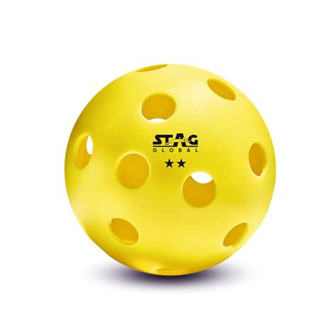 Stag Global Pickleball | Indoor Pickleball | Perfectly Balanced | High
