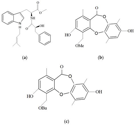 Bioactive Compounds from Marine Sponges: Fundamentals and Applications