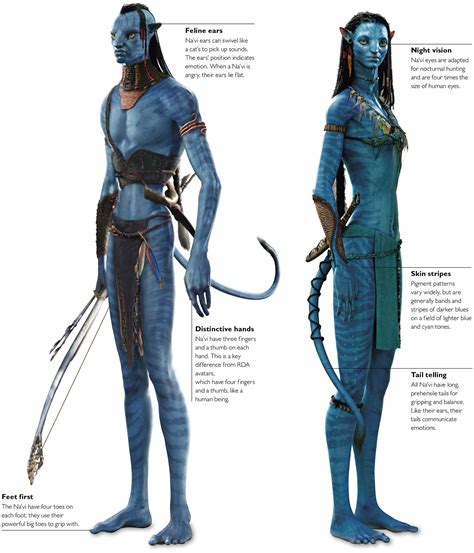 Avatar (2009) Concept Art. | Female avatars characters, Avatar 1 ...