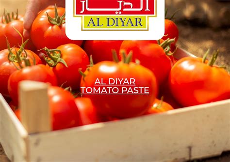 Al-Diyar | Majan Oman