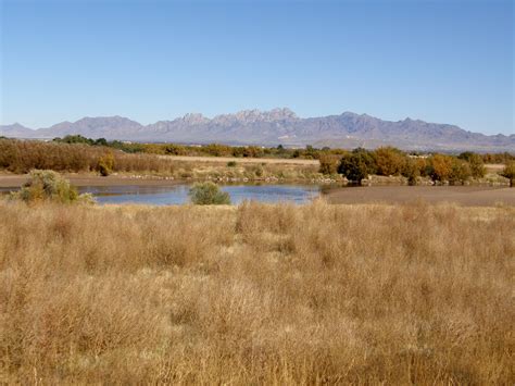 Mesilla Valley Bosque State Park