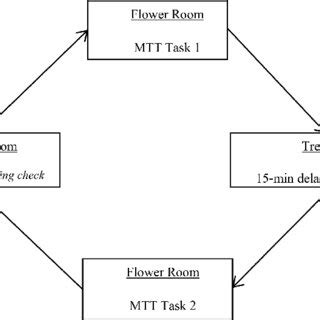Science Experiment Procedure 的图像结果