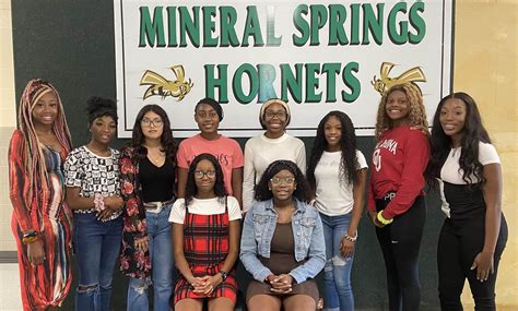 2022-2023 Mineral Springs Homecoming Court | Southwest Arkansas News