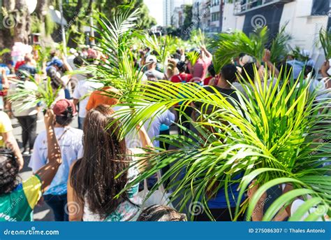Waving Palm Branches