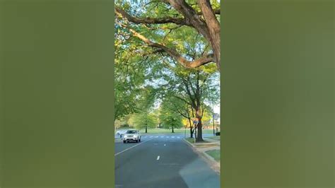 Spring, Morning Commute to work, Bethesda, Maryland - YouTube