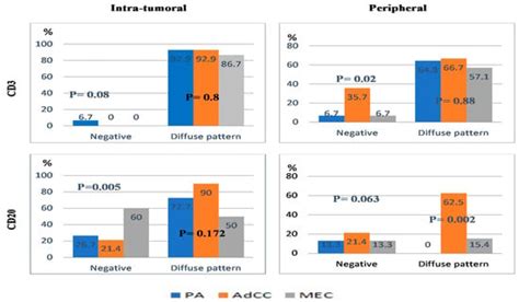 CD3 and CD20 Expressions and Infiltrating Patterns in Salivary Gland Tumors