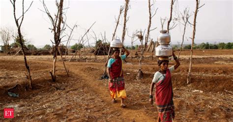 Rural demand to stay muted on poor rains, global agricultural price ...