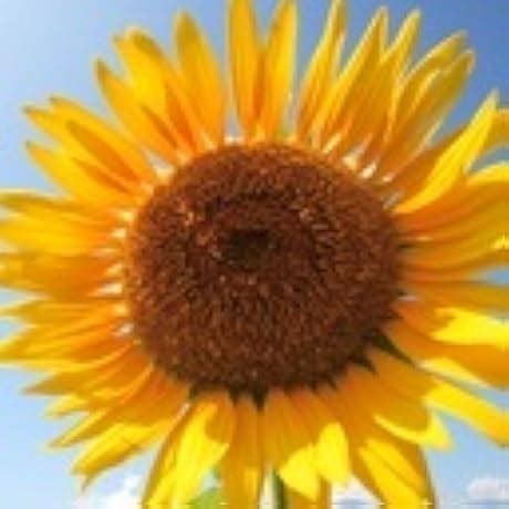 Kingston DTWS 64GB Pen Drive (Gray) : Amazon.in: Electronics