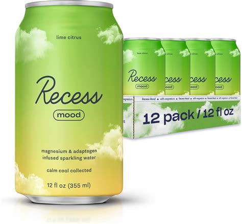 Amazon.com: Recess Mood Magnesium & Adaptogen Drink, Relaxation Beverage, 12 ounce (Lime Citrus ...