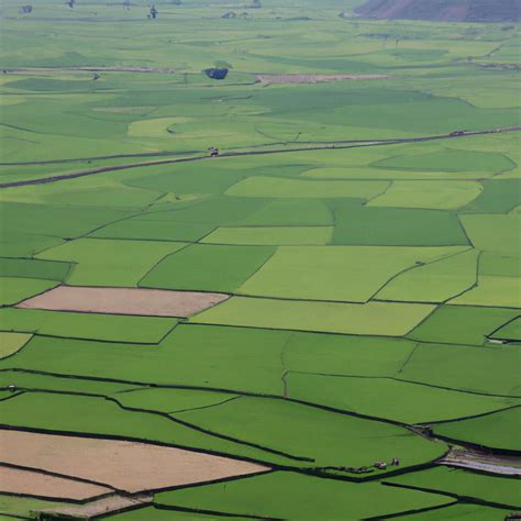 Role of land as a factor of production