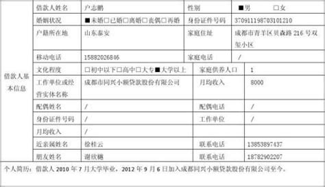 个人信用贷款调查报告分析(调查报告分析,个人信用,贷款)Word模板下载_编号qokezwwy_熊猫办公