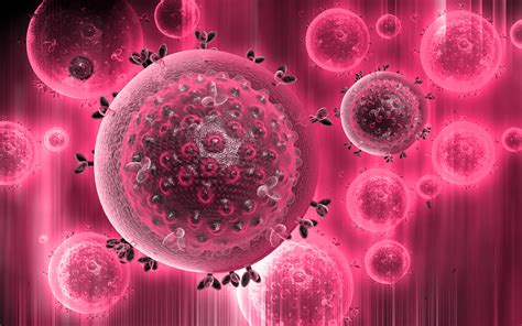 异基因造血干细胞移植为清除HIV病毒库提供新的见解，或将研制新疗法_检测