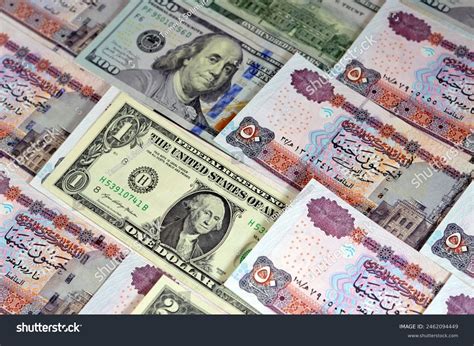 Stack Egypt Money Banknote Bills 50 Stock Photo 2462094449 | Shutterstock