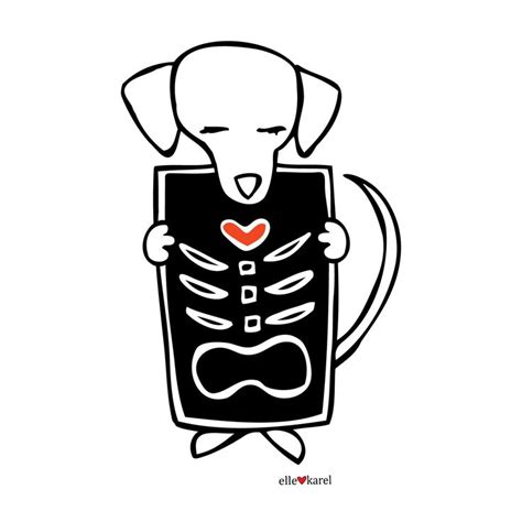 drawing of xray