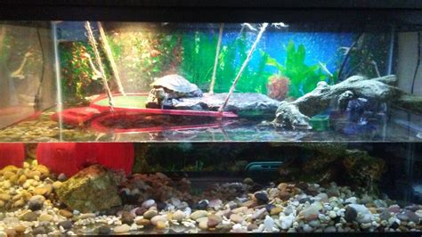 Aquarium Setup For Red Eared Sliders at Steven Hines blog