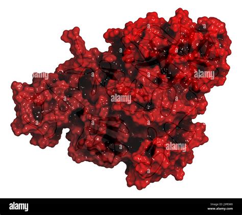 Plasmin hi-res stock photography and images - Alamy