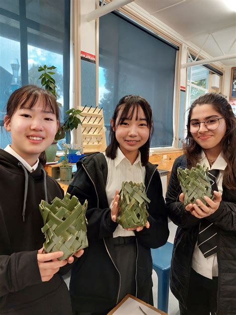 International Fees - Hutt Valley High School