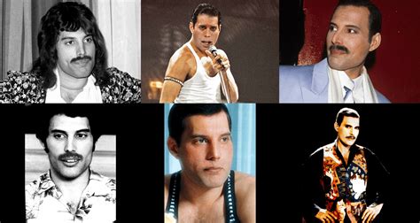 Freddie Mercury Sister Cash