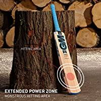 GM Neon Superstar Kashmir Willow Cricket Bat for Leather Ball |Full ...