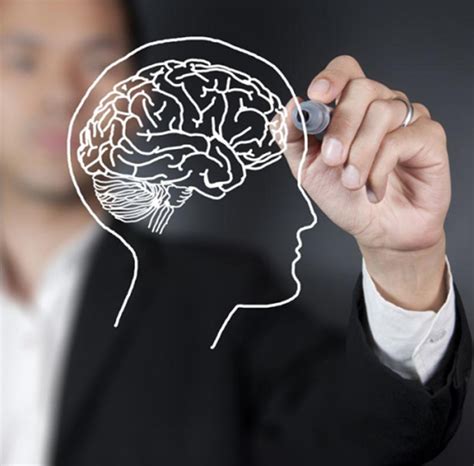 Taj International Language School Calicut Kerala - German - Speciality ...