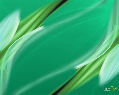 Image result for Linux Mint Customization