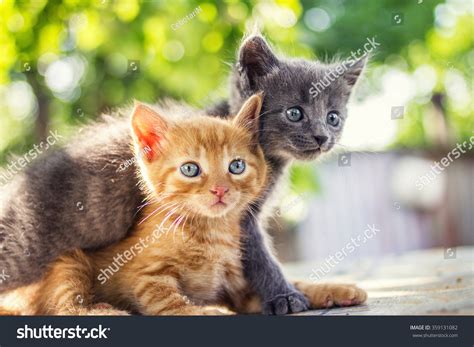 Image result for 2 L FiO2