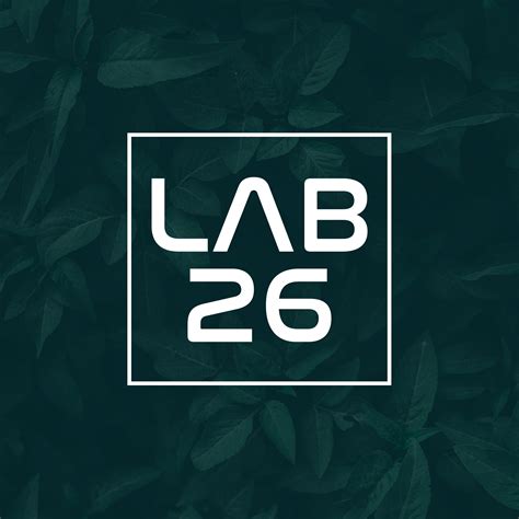 Lab 26 Logo 的图像结果