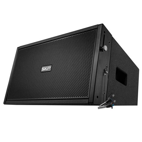 Line Array SYSTEME 的图像结果