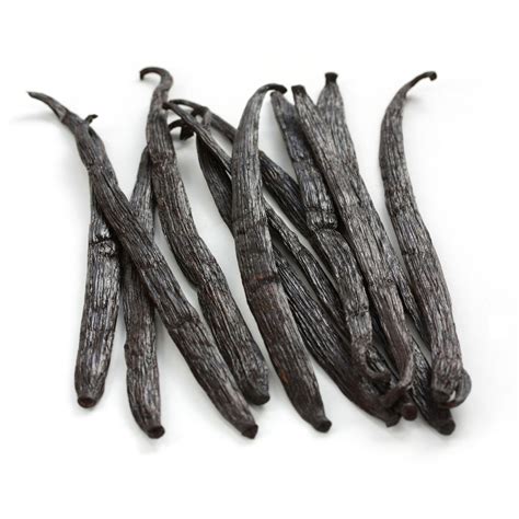 Madagascar Vanilla Beans - Red Stick Spice Company