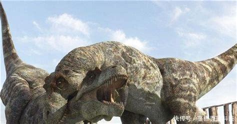 恐龙灭绝的直接原因竟然和一颗陨石有关_科技_中国网