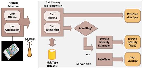 Gait Recognition and Walking Exercise Intensity Estimation