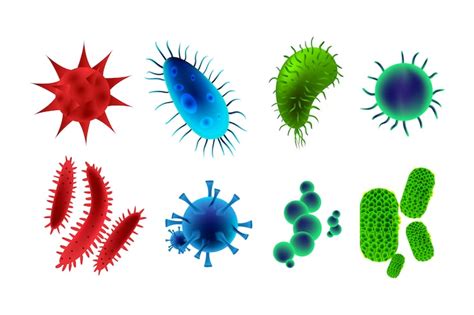 Bacteria Vectors - Download Free High-Quality Vectors from Freepik ...