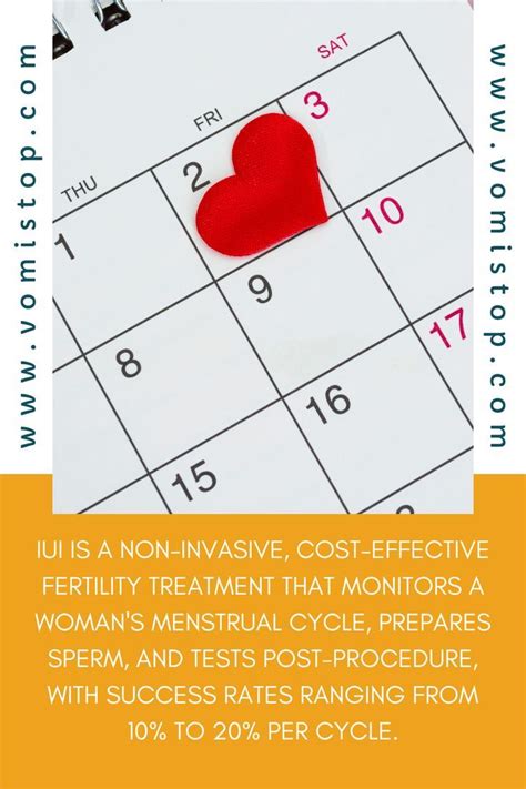 How Is IUI Procedure Done 的图像结果