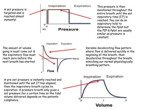 Maximum voluntary ventilation normal values. Maximal Voluntary ...