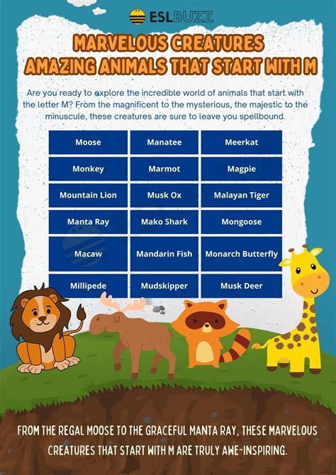 Funny Things That Start With M at Jenny Collier blog